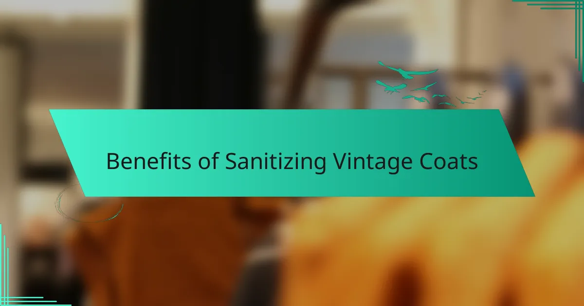 Benefits of Sanitizing Vintage Coats