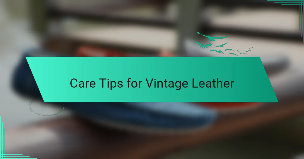 Care Tips for Vintage Leather