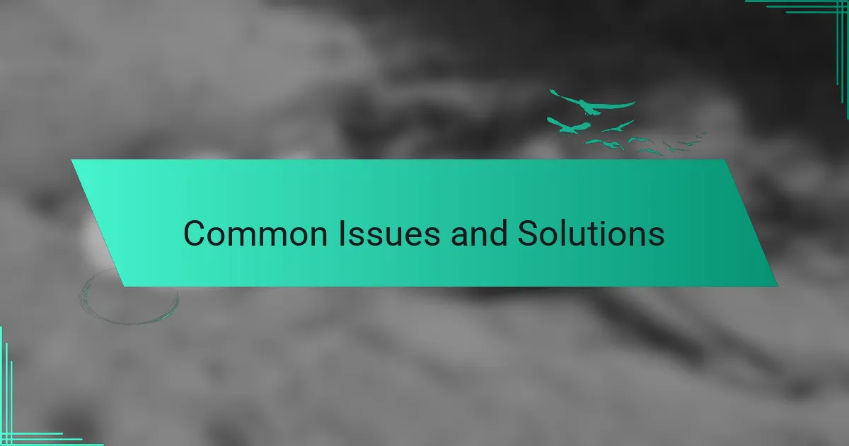 Common Issues and Solutions