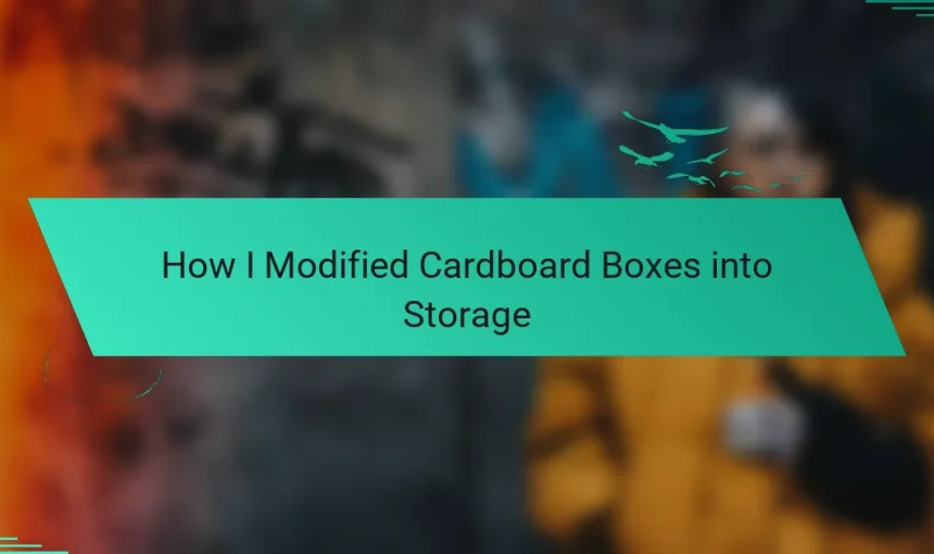 How I Modified Cardboard Boxes into Storage