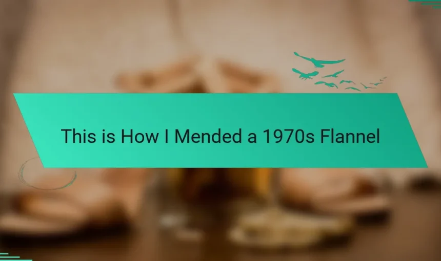 This is How I Mended a 1970s Flannel