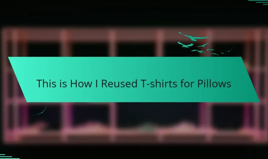 This is How I Reused T-shirts for Pillows