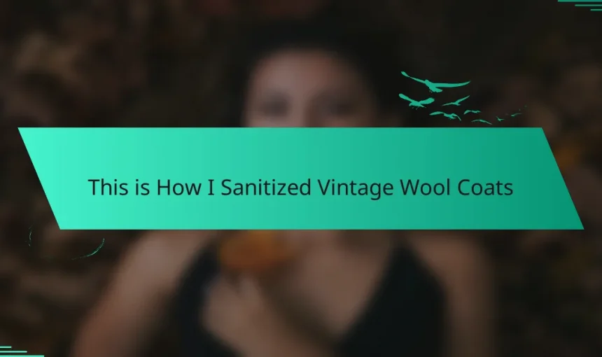 This is How I Sanitized Vintage Wool Coats