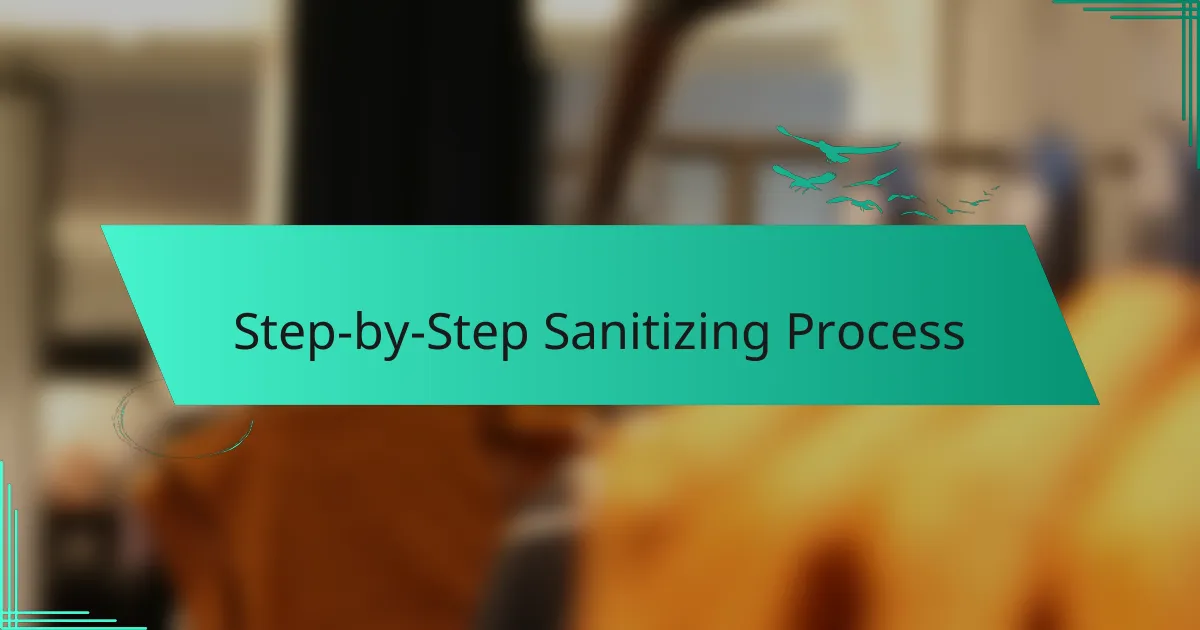 Step-by-Step Sanitizing Process