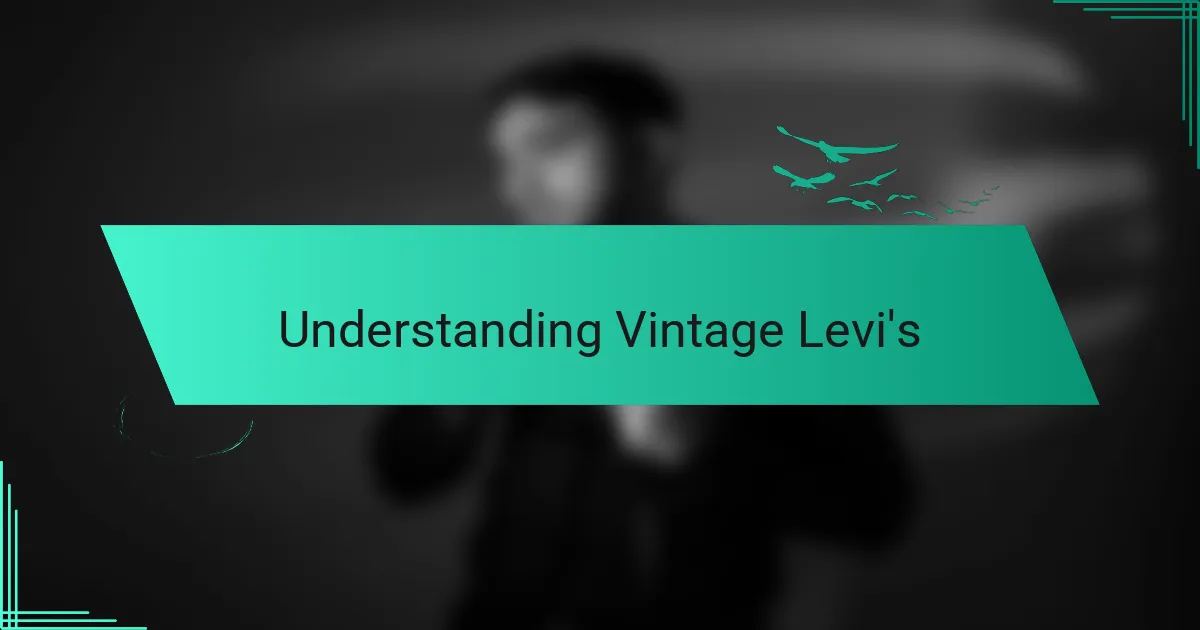 Understanding Vintage Levi's